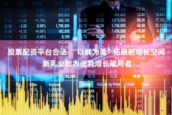 股票配资平台合法  “以鲜为美”拓展新增长空间 新乳业敢为逆势增长破局者