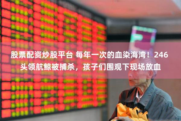 股票配资炒股平台 每年一次的血染海湾！246 头领航鲸被捕杀，孩子们围观下现场放血