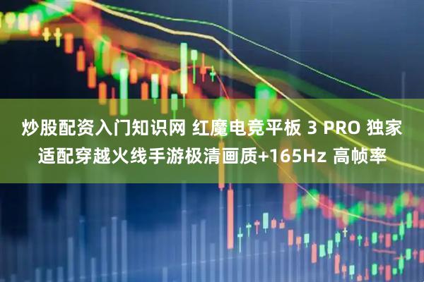 炒股配资入门知识网 红魔电竞平板 3 PRO 独家适配穿越火线手游极清画质+165Hz 高帧率